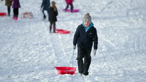 children going sledding in the park