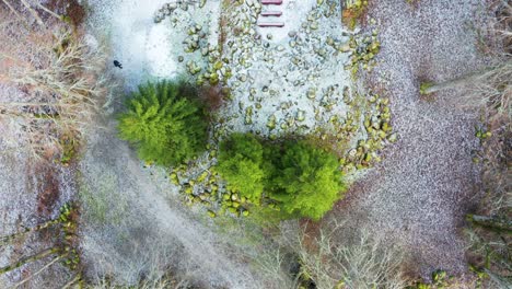 aerial view of abandoned church ruins location in forest with green fir tree