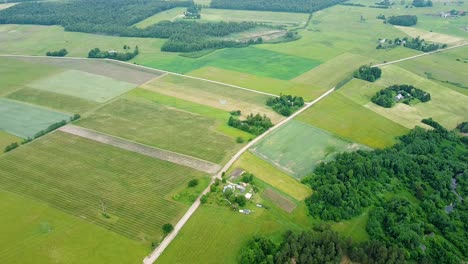 beautiful aerial birdseye view of lush green fields near sventaja river in sunny summer day, wide angle drone shot moving backwards