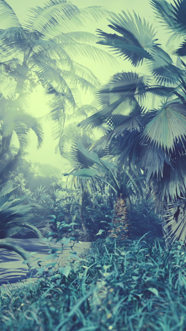 Lush tropical landscape with dense palm trees and thick vegetation near water
