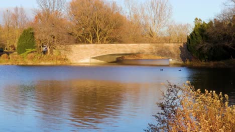 a pair of geese slowly swim in a calm river, in front of a concrete and stone bridge