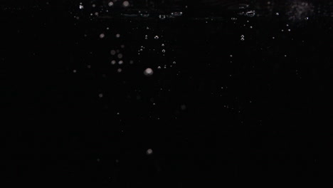 clumsy glasses drop in river on hike in slow motion
