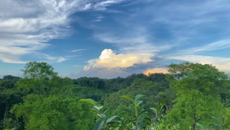 Tiro-De-Lapso-De-Tiempo-Del-Bosque-Nacional-De-Khadimnagar-Con-Nubes-Rodando-Sobre-El-Dosel