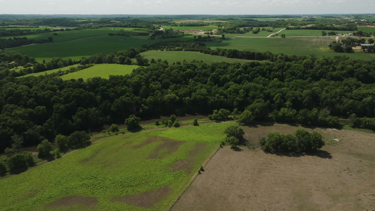 campos de cultivo de verano vistos desde arriba