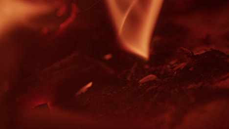 Macro-shot-of-burning-wood