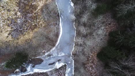 top-down aerial drone view along a small frozen river in the middle of the forest