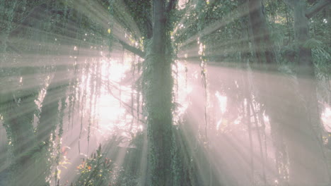 Grüner-Tropischer-Wald-Mit-Lichtstrahl