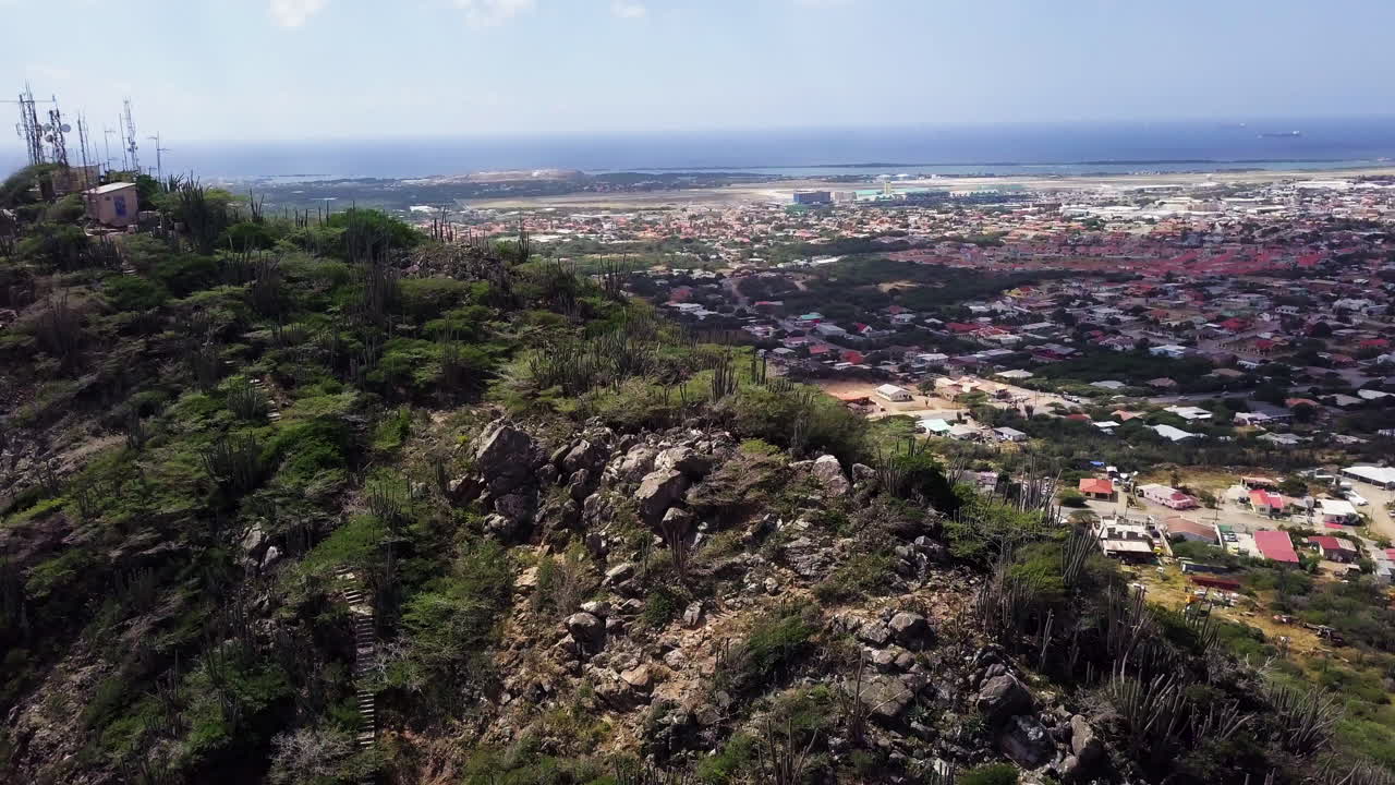 cactus, árboles divi-divi y algunos árboles kibrahacha en la cima de la montaña hooiberg en aruba