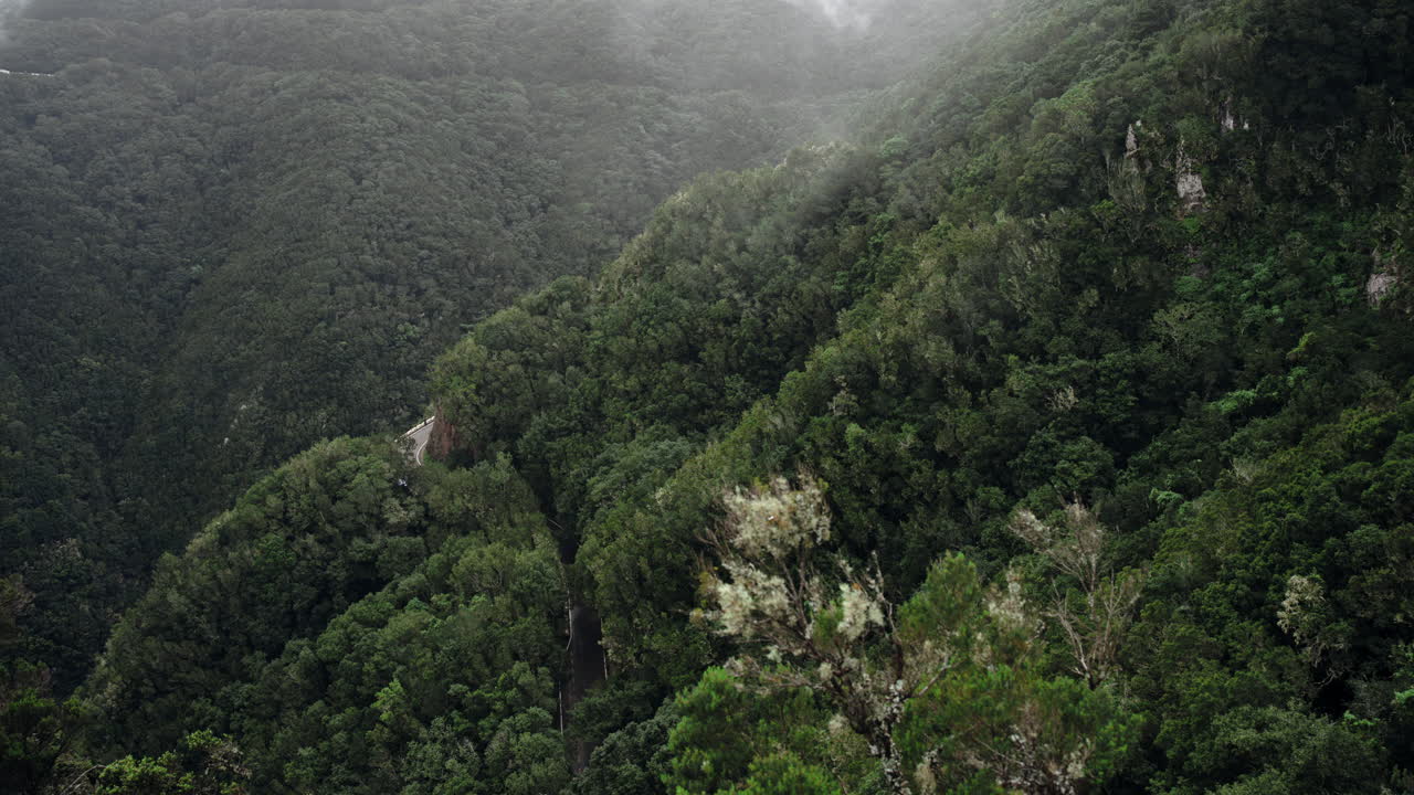 lapso de tiempo de una zona montañosa mientras la niebla fluye sobre los árboles y los coches pasan por la calle