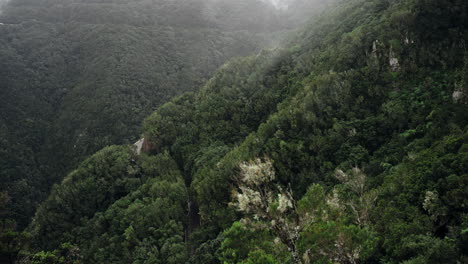 Timelapse-of-a-mountain-area-while-fog-flows-over-trees-and-cars-are-passing-by-on-the-street