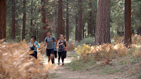 group of young adult friends run past camera in a forest