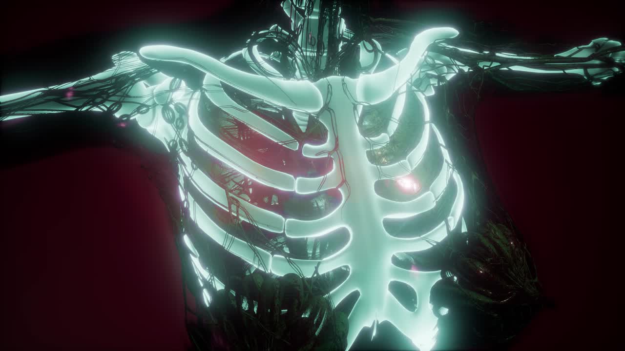 cuerpo humano con huesos esqueléticos visibles