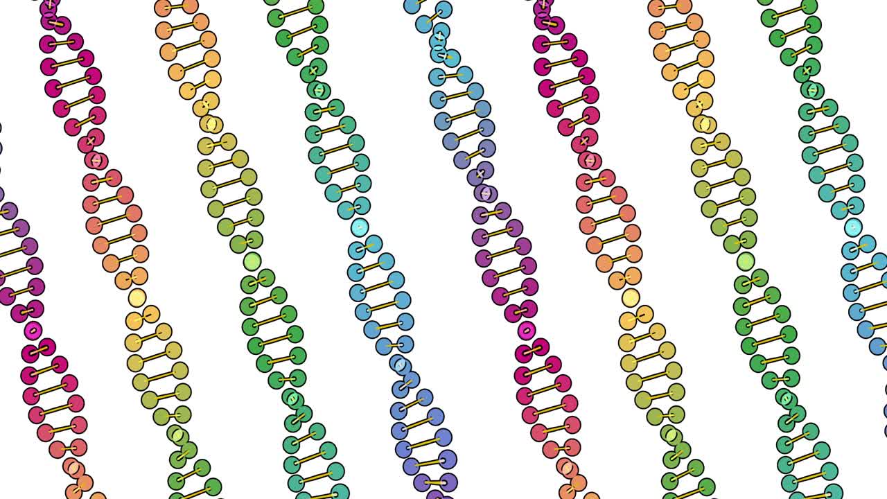 백색 바탕에 분리된 dna 분석의 컬러 시각화, 3d 회전 애니메이션, 몬태지 및 의료 훈련