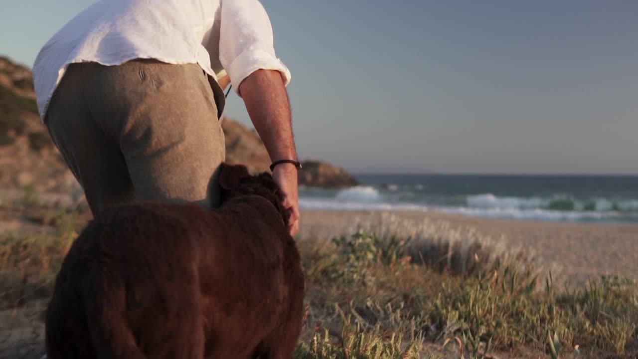 toma de mano panorámica en cámara lenta de dos perros junto con el dueño de su perro parados en las dunas en la arena de la playa frente al mar durante un día de verano