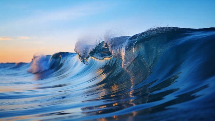 Rolling single ocean wave curling and breaking near shore, swell pushing, white foam forming