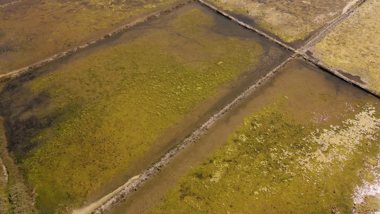 vista aérea en 4k de una sección de una granja de sal en aveiro con el dron avanzando, 60fps