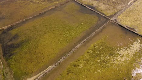 Vista-Aérea-En-4k-De-Una-Sección-De-Una-Granja-De-Sal-En-Aveiro-Con-El-Dron-Avanzando,-60fps