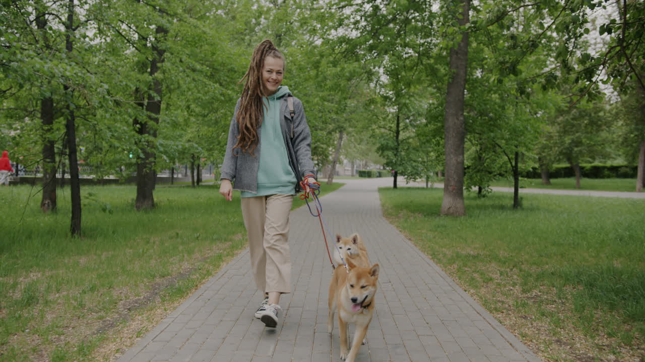 Woman walking dogs in a park
