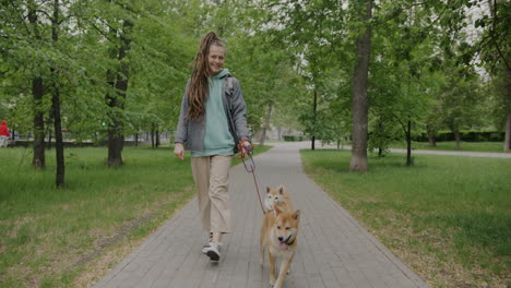 woman walking dogs in a park