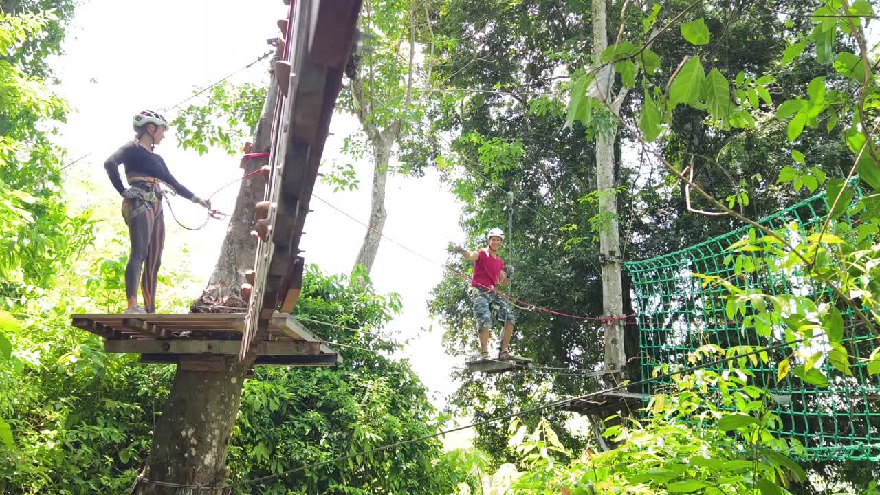 People enjoying treetop adventure course