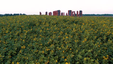 Sonnenblumenwiese-Bei-Sonnenuntergang.-Ukrainisches-Sonnenblumensymbol.-Smeltene