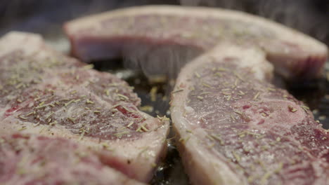 sizzling lamb chops with seasoning in cast iron frying pan, close-up dolly