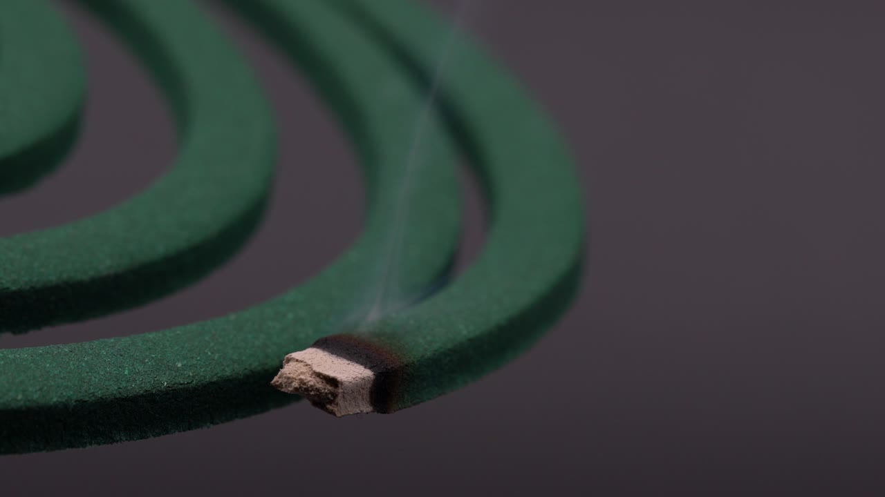 검은 바탕에 찍은 모기 불