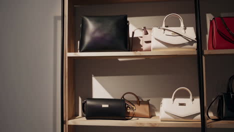 collection of stylish handbags on display shelves