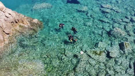 grupo de buzos hablando en agua cristalina antes de bucear