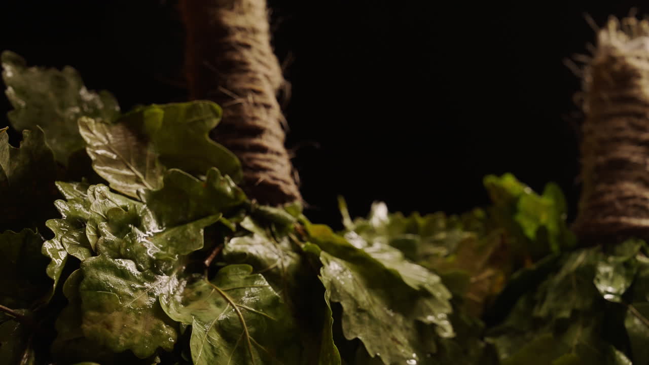 Oak Leaves for Sauna