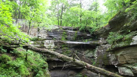 Dangerous-fly-between-forest-trees-near-small-waterfall