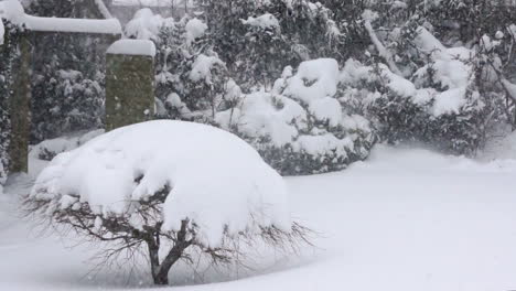 heavy lake effect snowfall in a garden in hamburg