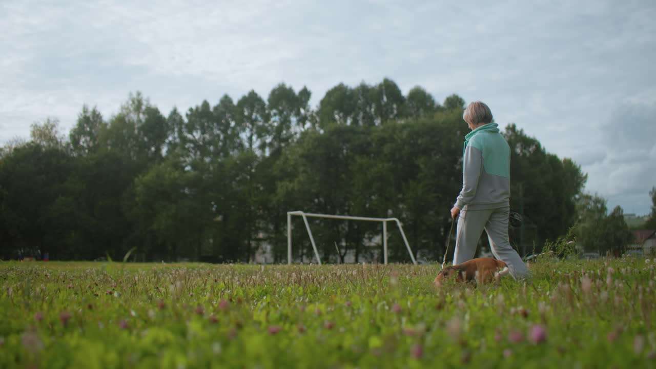 Canine specialist walking through lush garden filled with blooming flowers, leading playful dog on leash across vibrant field under bright cloudy sky, capturing joyful bond during outdoor adventure