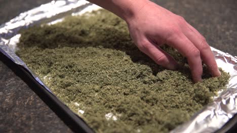 Someone-spreading-dried-and-crushed-marijuana-buds-and-leaves-on-a-tray-wrapped-with-aluminium-foil