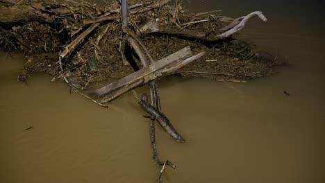 debris and driftwood in a flooded river at night