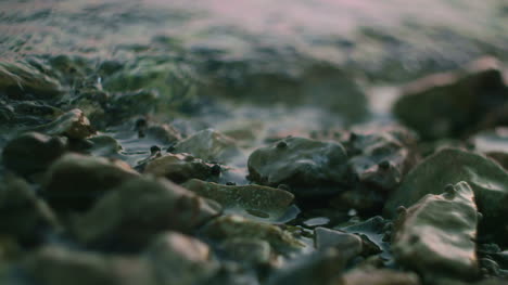 Sea-Wave-On-Sandy-Beach-1