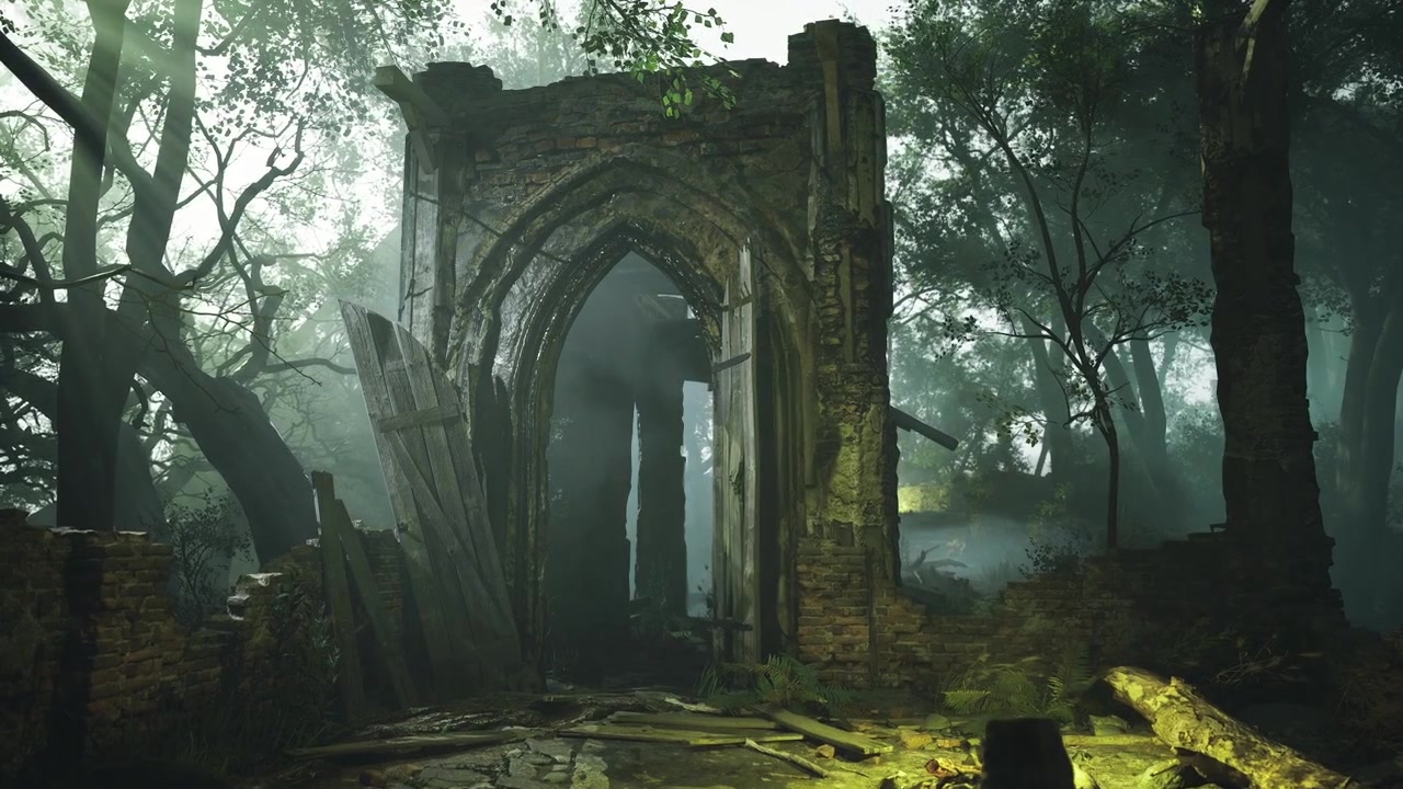 Arco di muschio illuminato dal sole che invita alla scoperta di un tranquillo santuario naturale