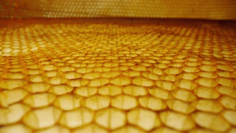 honeycomb structure