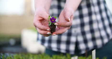 Joven-Mujer-Botánica-Examinando-Planta-En-Maceta-24