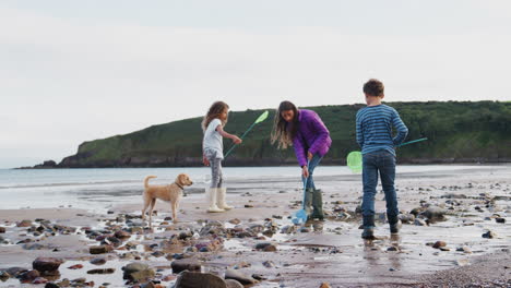Children-With-Pet-Dog-Looking-In-Rockpools-On-Winter-Beach-Vacation