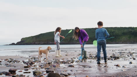 children with pet dog looking in rockpools on winter beach vacation