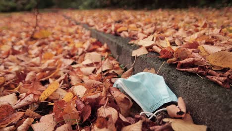 leaves fall over disposable covid 19 face mask litter