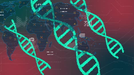 Animación-De-Cadenas-De-ADN-Sobre-El-Mapa-Mundial.