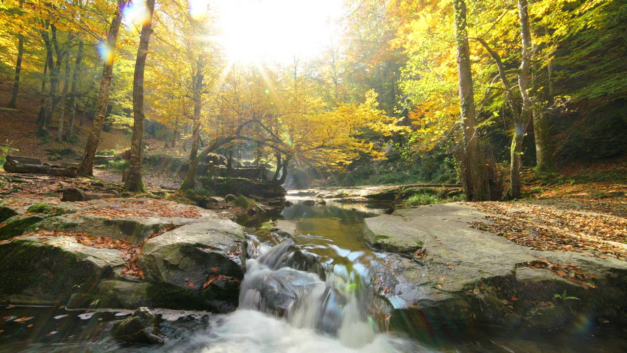 Kleine waterval stromend door een zonovergoten herfstbos