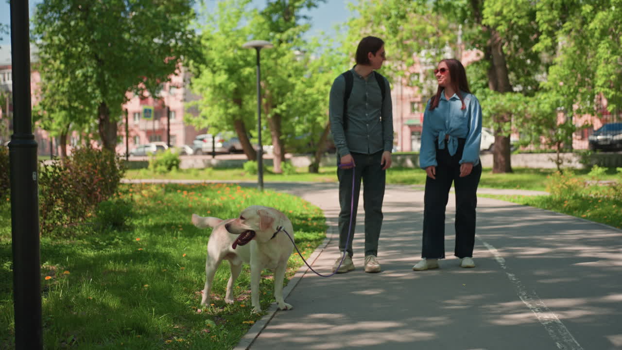 paseo tranquilo en un parque soleado, personas capacitadas pasean tranquilamente con sus mascotas por la vegetación sombreada, jóvenes expertos disfrutan de un paseo pausado con sus perros bajo las frondosas ramas a la luz del sol