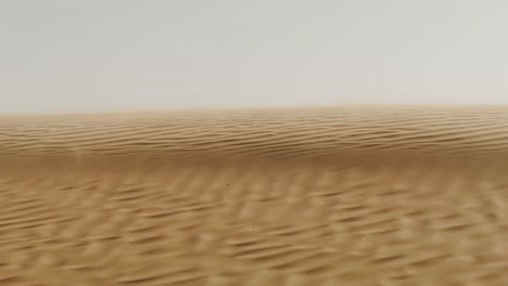 paisaje de dunas de arena del desierto