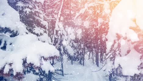 nieve cayendo y abetos