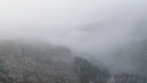 low clouds - exploring shot over snowy green forest in bucegi mountains, romania