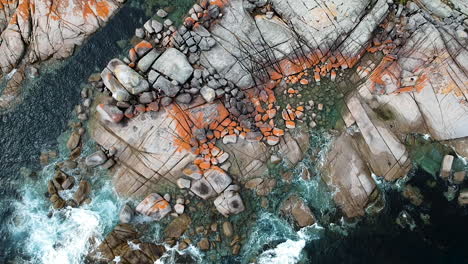 aerial of bay of fires bright orange rocks with waves in rock pools in the sea