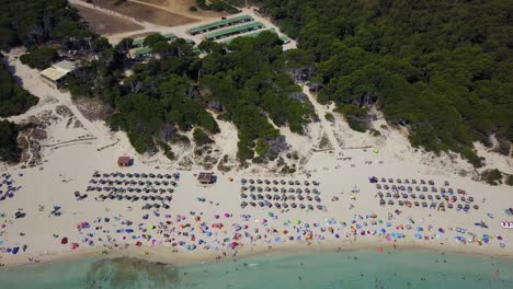 Overhead-tilting-drone-shot-of-the-Calla-Agulla-beach-resort,-showing-its-sandy-beachfront-and-the-mountains-and-woodlands-in-the-background